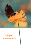 Fleur orange et papillon pour un anniversaire charmant